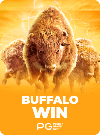 Buffalo Win