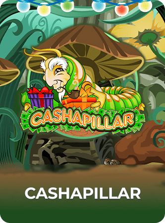 Cashapillar