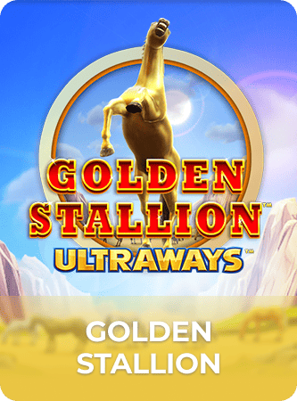 Golden Stallion